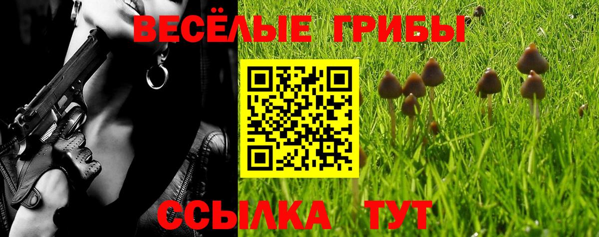 Галлюциногенные грибы мицелий Рязань