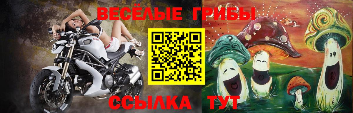 Рязань  Псилоцибиновые грибы Cubensis  Вход с VPN 